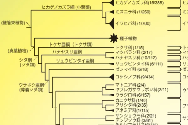 PPG I分類体系の概念図