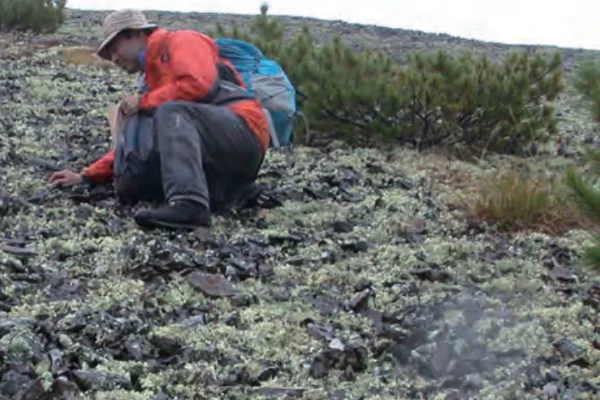 ロシア_調査風景