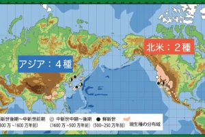 トガサワラ属の分布