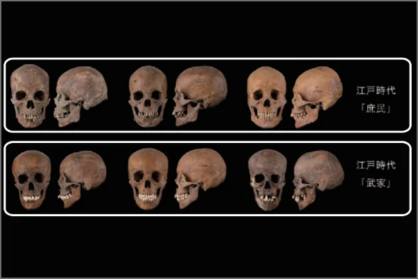 スクリーンショット 2025-07-15 112709