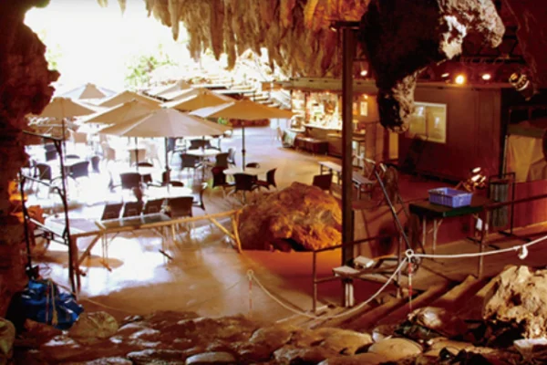 サキタリ洞遺跡