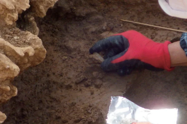 白保竿根田原洞窟_発掘調査