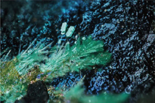 伊予石＆三崎石