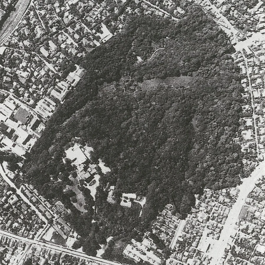 自然教育園（昭和39年）