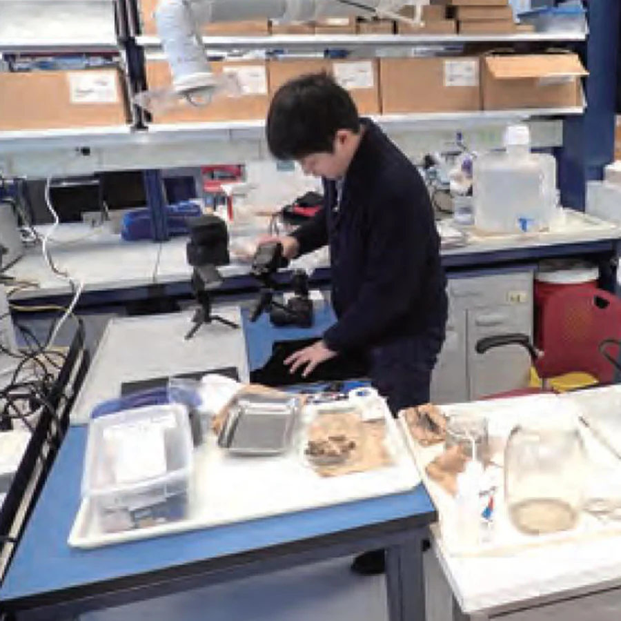 米国自然史博物館における調査を行う連携大学院生