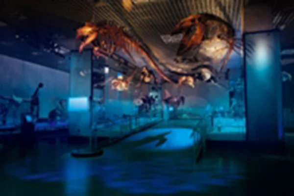 バシロサウルスとティロサウルス