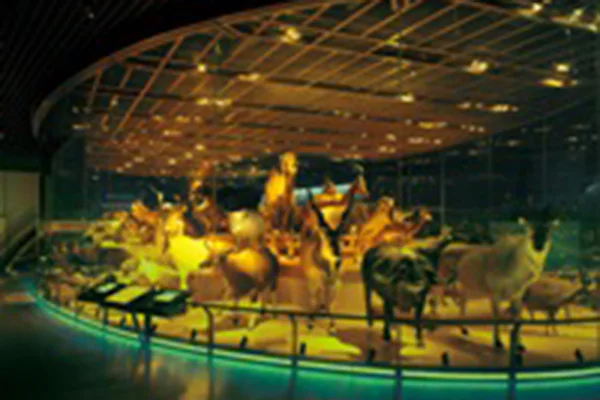 大地を駆ける生命１