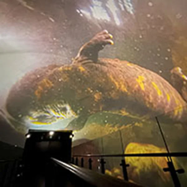 「日本の川」上映イメージ（画像：国立科学博物館）