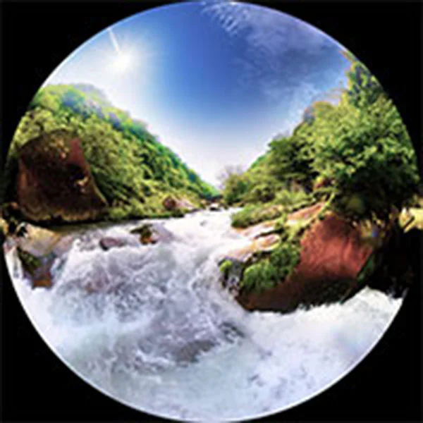 鳥取県 石見川（画像：国立科学博物館）