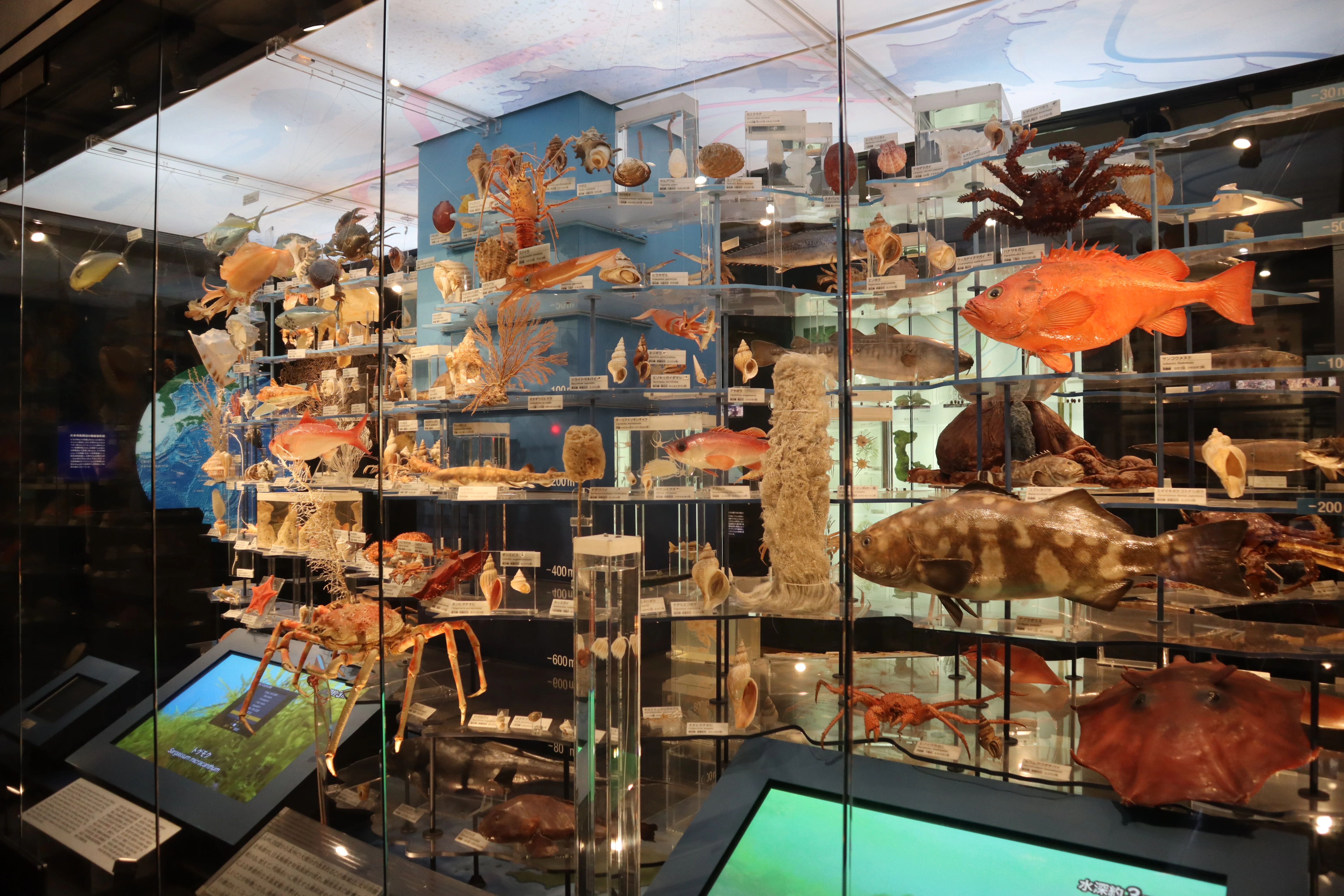 日本列島を囲む豊かな海