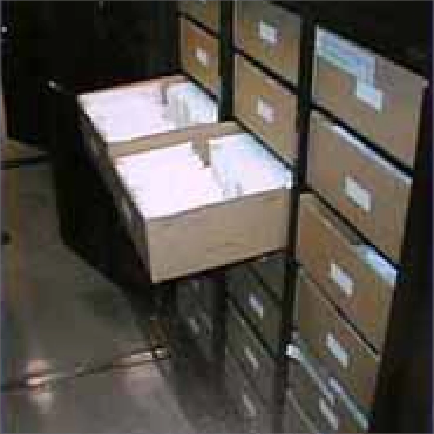 紙袋標本の整理状態