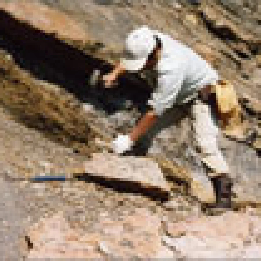 NoPath - コピー (79)