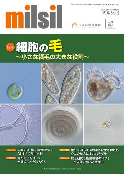 milsil 第110号