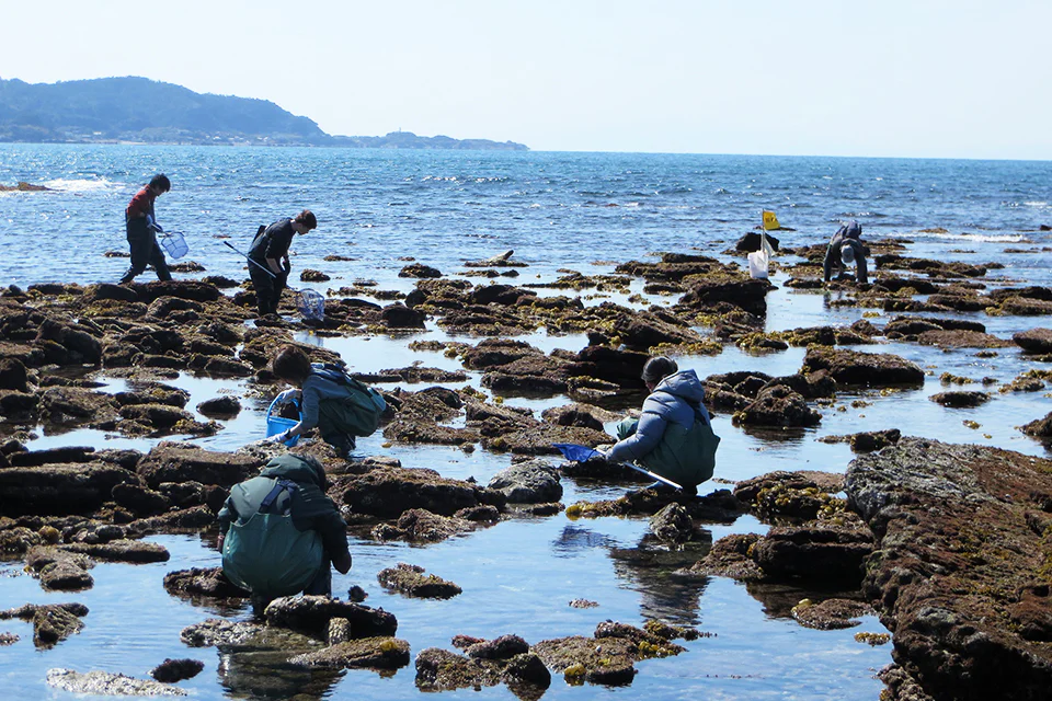 お茶の水大学連携事業