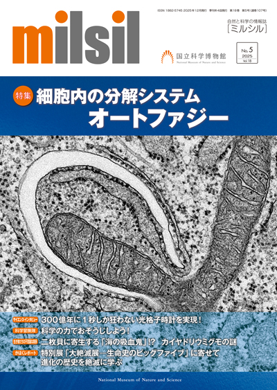 milsil107号