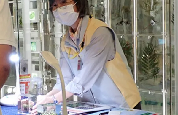 展示に秘められたポイントをご案内します