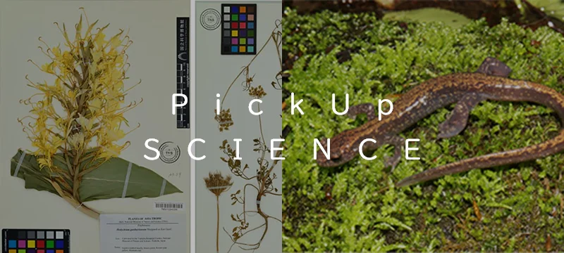 PickUpサイエンス