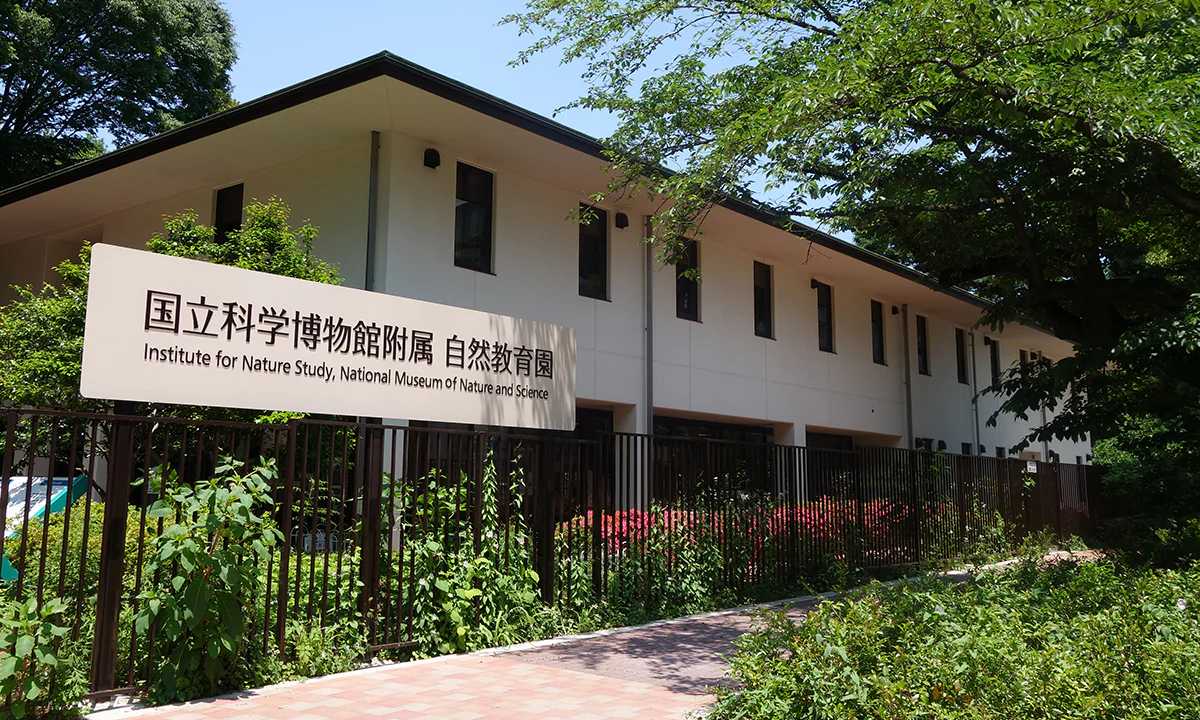 附属自然教育園