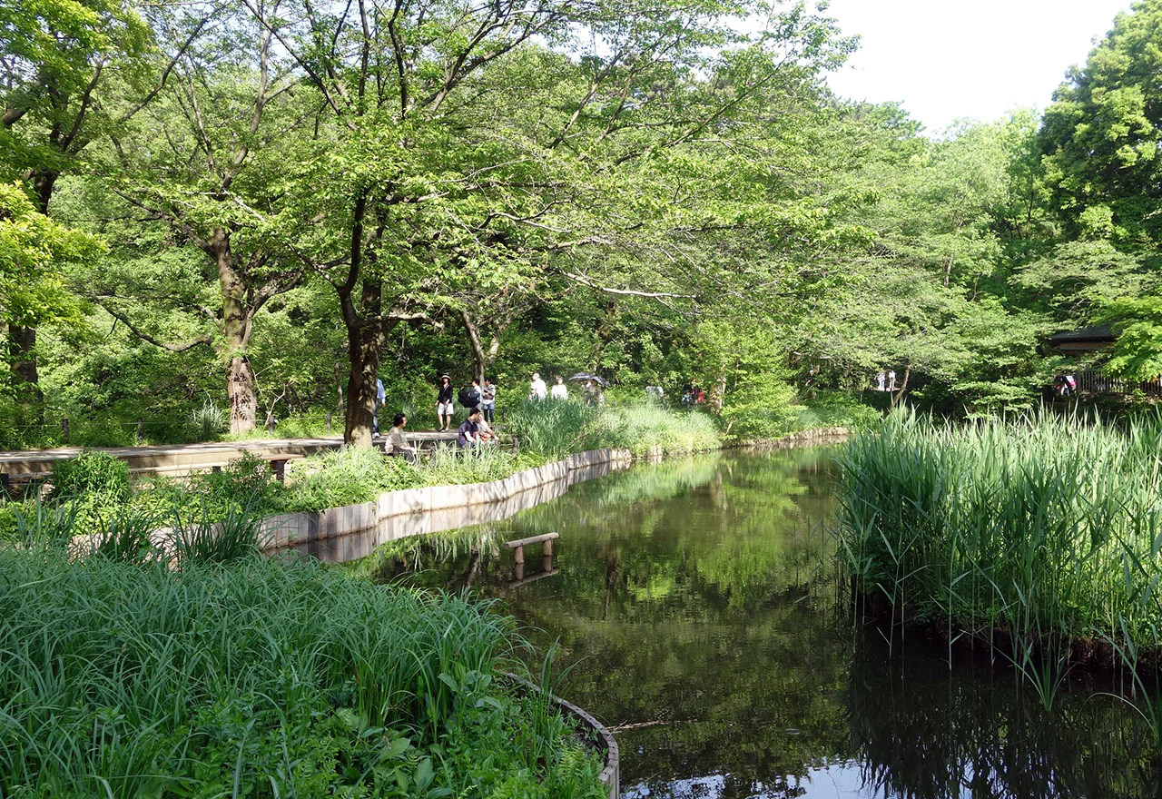 附属自然教育園2