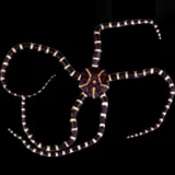 棘皮動物（キョクヒドウブツ）類