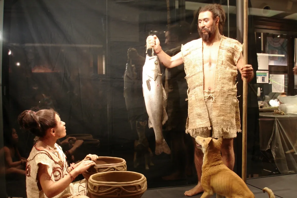 Ⅳ. 日本人と自然