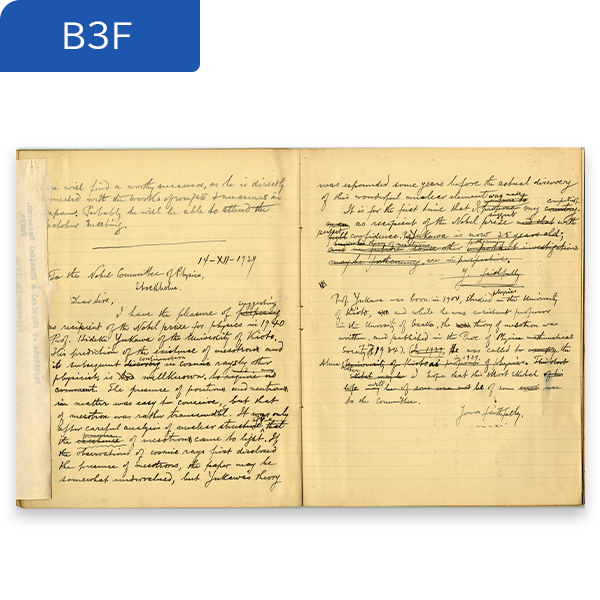 11かみなりおやじ