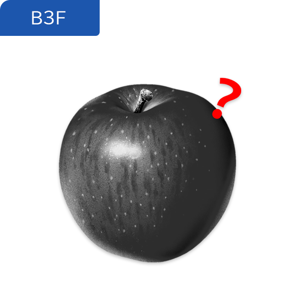 地B3