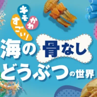 キモかわすごい！海の骨なしどうぶつの世バナー