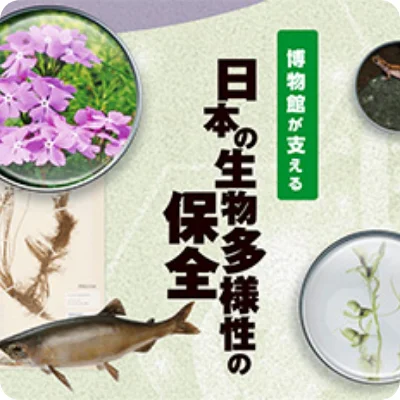 博物館が支える日本の生物多様性の保全バナー