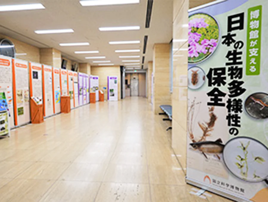 博物館が支える日本の生物多様性の保全1