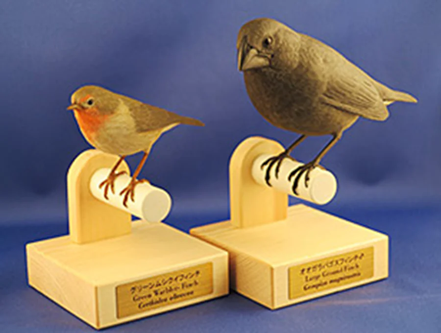 ダーウィンを驚かせた鳥たち1