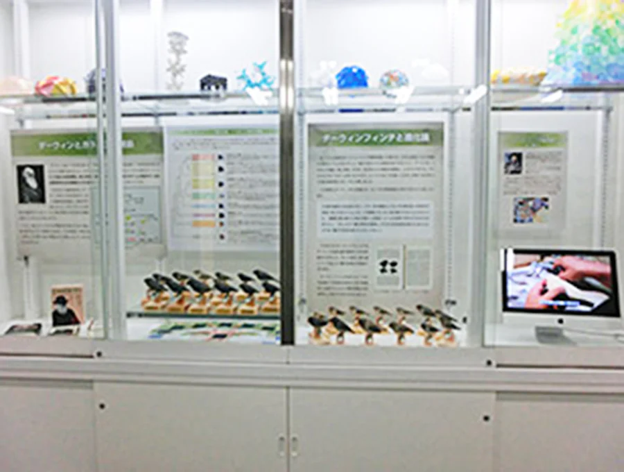 ダーウィンを驚かせた鳥たち2