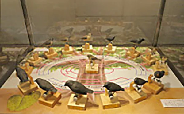 バードカービング