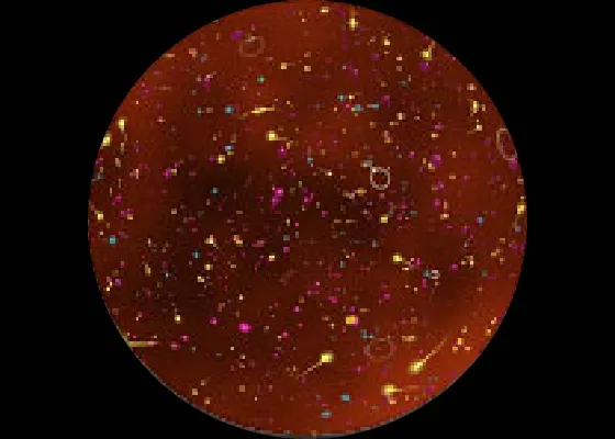 Scene 1 ビッグバン