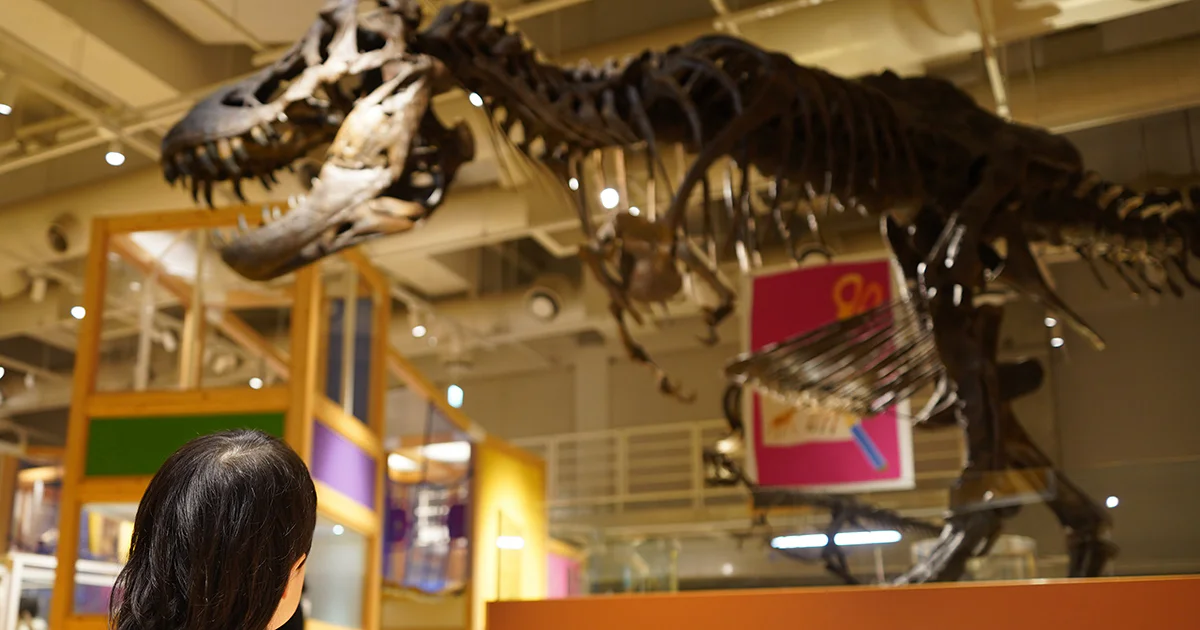 親と子のたんけんひろばコンパス