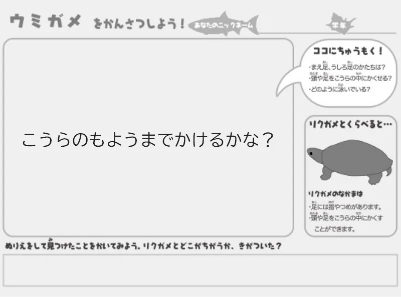 ウミガメのぬりえ(えをかこう)