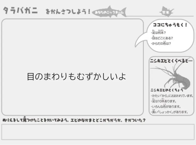 タラバガニのぬりえ(えをかこう)