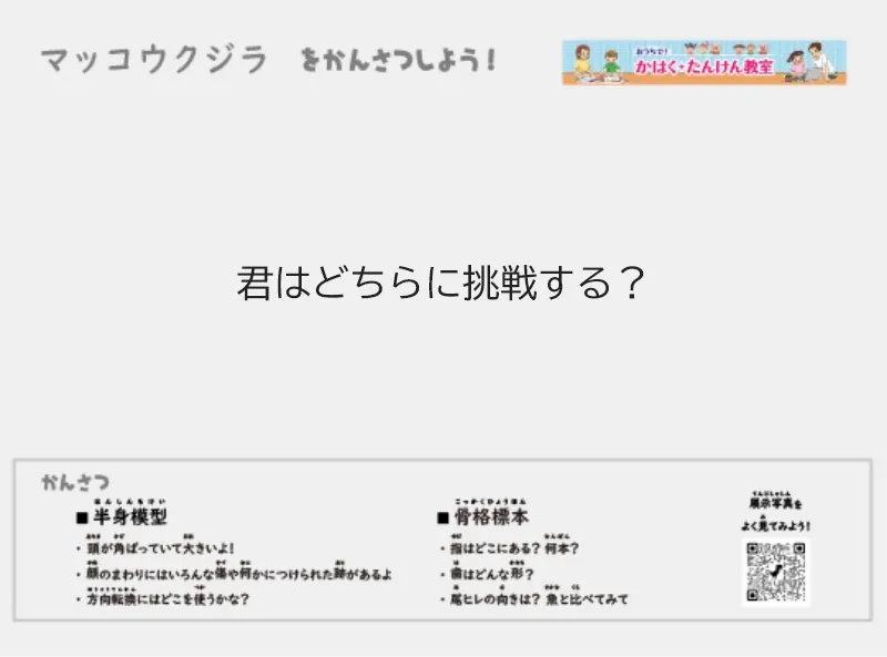 マッコウクジラのぬりえ(えをかこう)