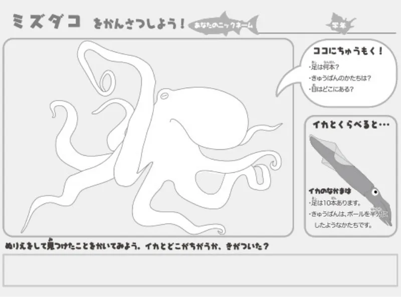 ミズダコのぬりえ(ぬりえプラス)