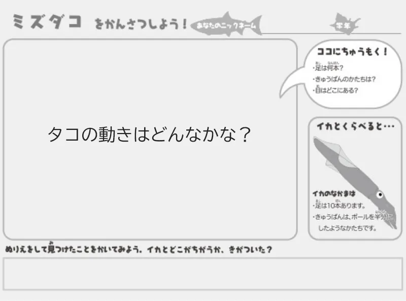 ミズダコのぬりえ(えをかこう)