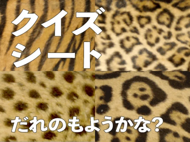 いきものクイズ-クイズシート