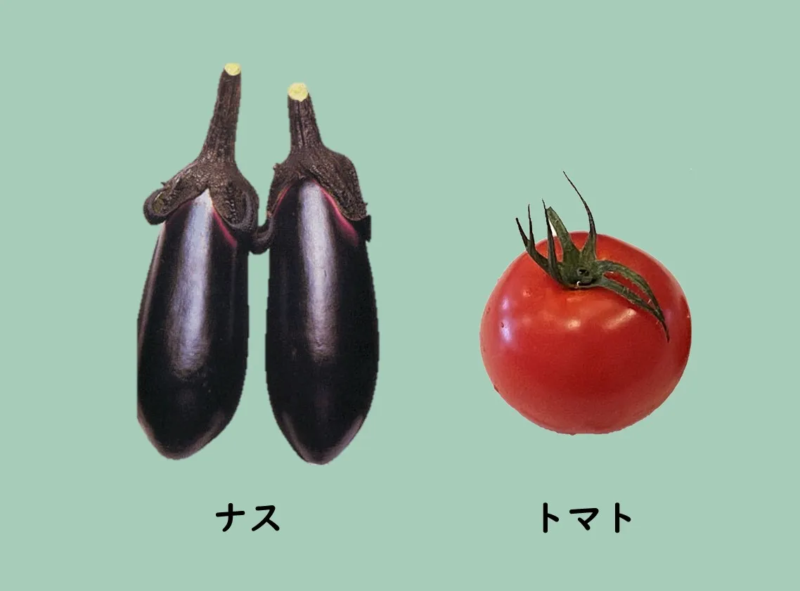 ナスとトマトの比較写真