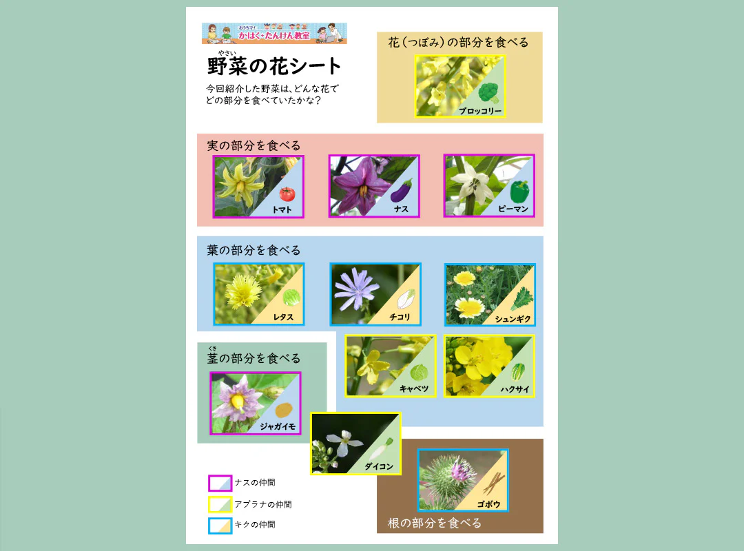 野菜の花シート