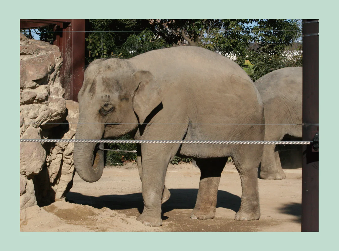 【観察】ウン、コれは知りたい！ウンチく話3-みてみよう③