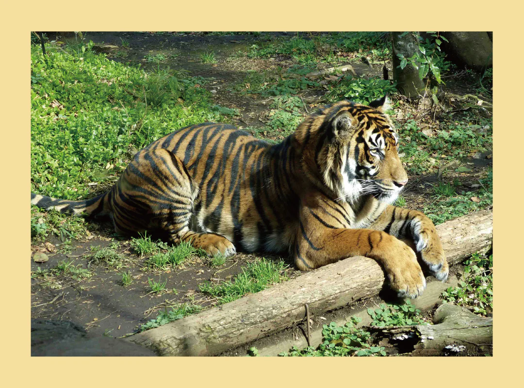 【観察】ウン、コれは知りたい！ウンチく話-みてみよう⑤