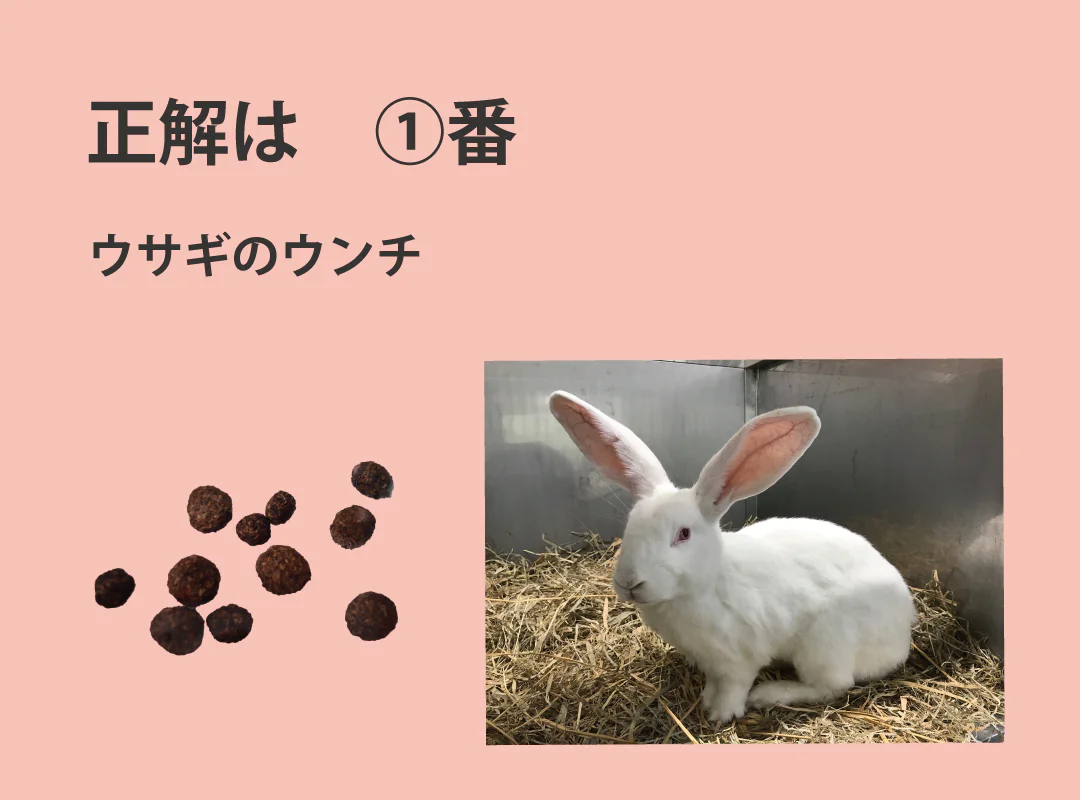 【観察】ウン、コれは知りたい！ウンチく話-かんがえてみよう⑦