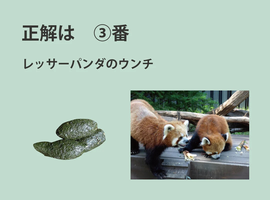 【観察】ウン、コれは知りたい！ウンチく話-かんがえてみよう④