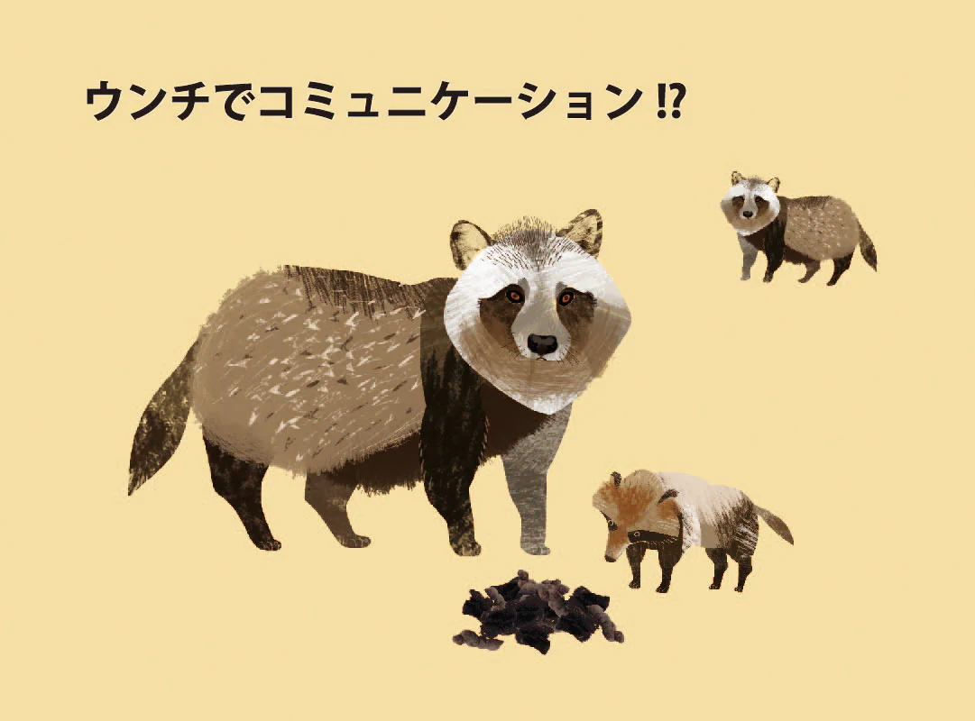 観察】ウン、コれは知りたい！ウンチく話-かんがえてみよう⑪