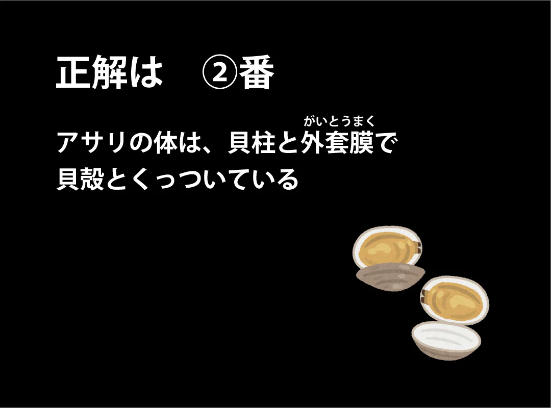【観察】海のおいしい豆ちしき―アサリ―かんがえてみよう⑤