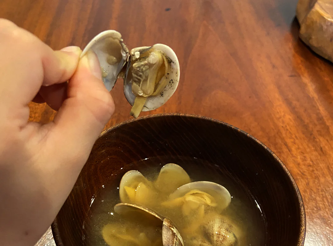 【観察】海のおいしい豆ちしき―アサリ―やってみよう⑪